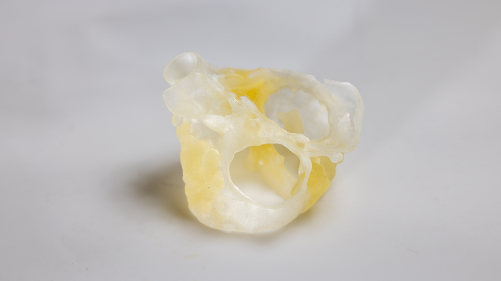 Protostudios 3D printed heart